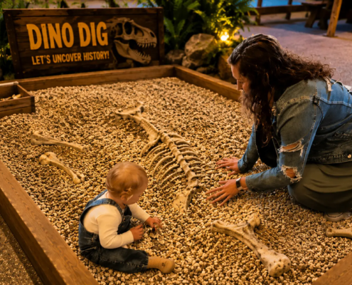 dino dig, bone dig in a dino park Dino dig, digging dino bones