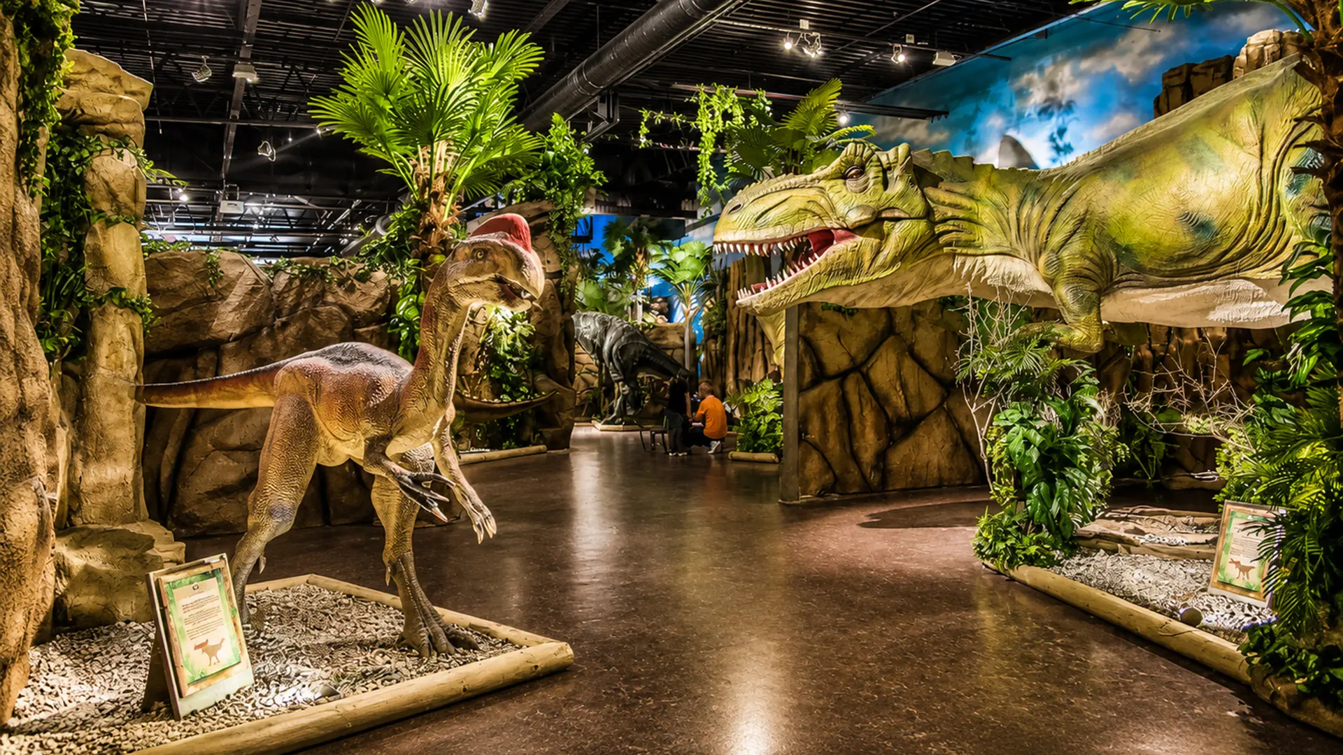 dinosaur-theming-fec Dinosaur park theming